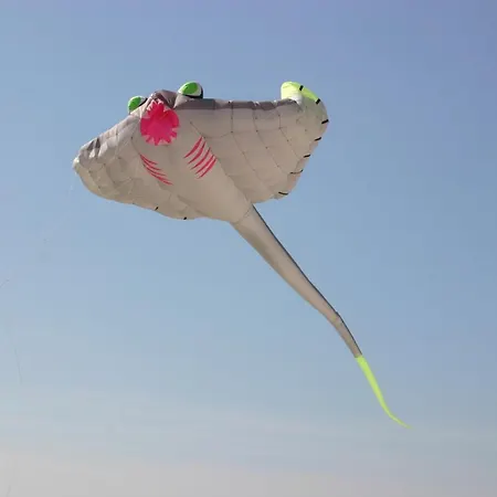 Joli Appt Cocooning Au Pied Des Dunes