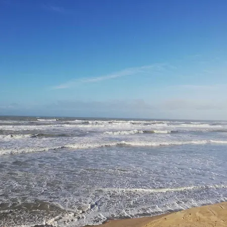 Au Pied Des Dunes Joli Cosy 50m De La Apartment Berck