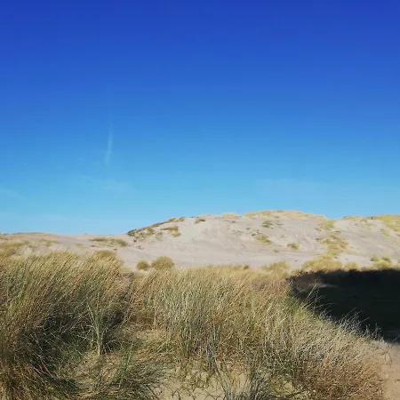 Joli Appt Cocooning Au Pied Des Dunes