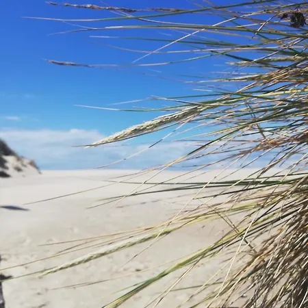 アパート Joli Appt Cocooning Au Pied Des Dunes
