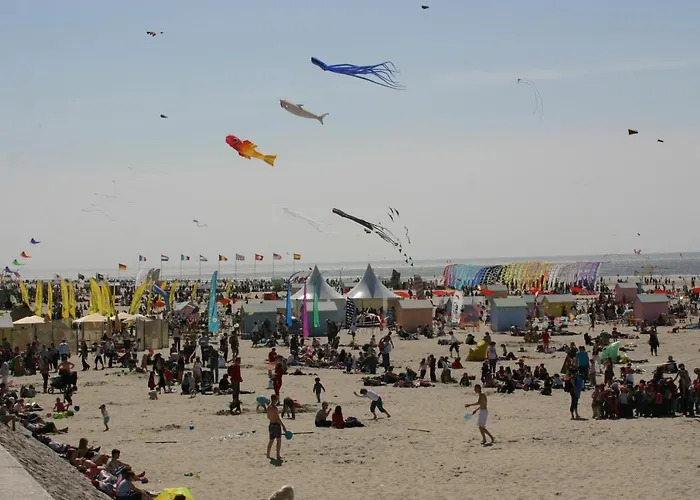 Joli Appt Cocooning Au Pied Des Dunes