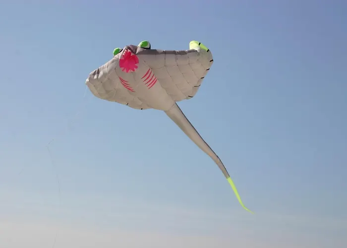 Joli Appt Cocooning Au Pied Des Dunes