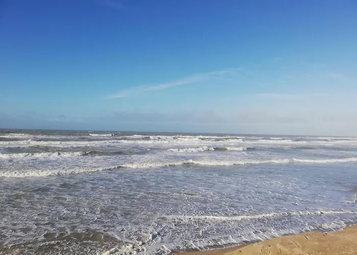 Au Pied Des Dunes Joli Cosy 50m De La דירה Berck