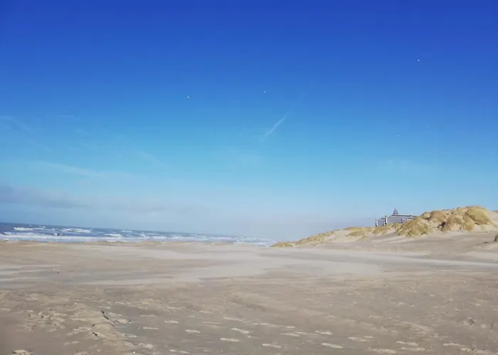 Au Pied Des Dunes Joli Cosy 50m De La דירה