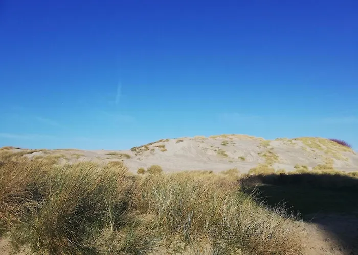 Joli Appt Cocooning Au Pied Des Dunes