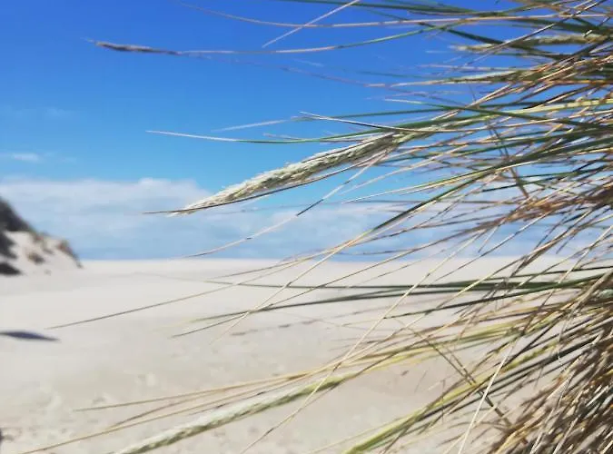 Appartement Joli Appt Cocooning Au Pied Des Dunes
